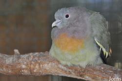 Zoo Leipzig