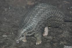 Zoo Leipzig