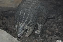 Zoo Leipzig