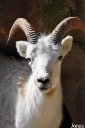 Zoo Leipzig