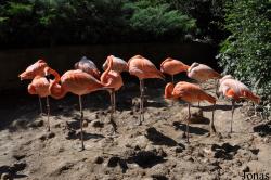 Zoo Leipzig