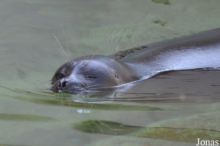 Zoo Leipzig