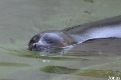 Zoo Leipzig