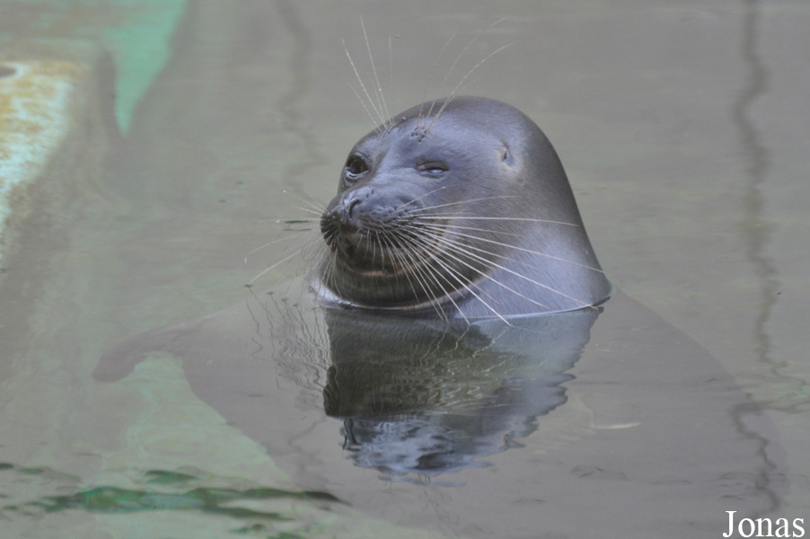 Zoo Leipzig