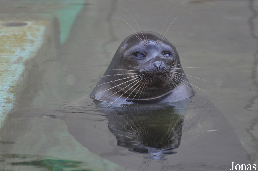 Zoo Leipzig