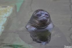 Zoo Leipzig