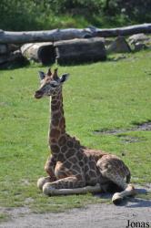 Zoo Leipzig