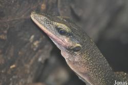Zoo Leipzig