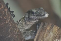 Zoo Leipzig