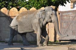 Zoo Leipzig