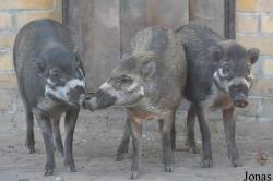 Zoo Leipzig