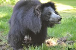 Zoo Leipzig