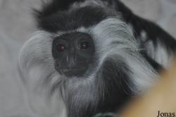 Zoo Wrocław