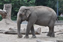 Zoo Wrocław