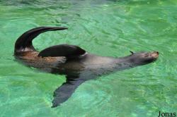 Zoo Wrocław