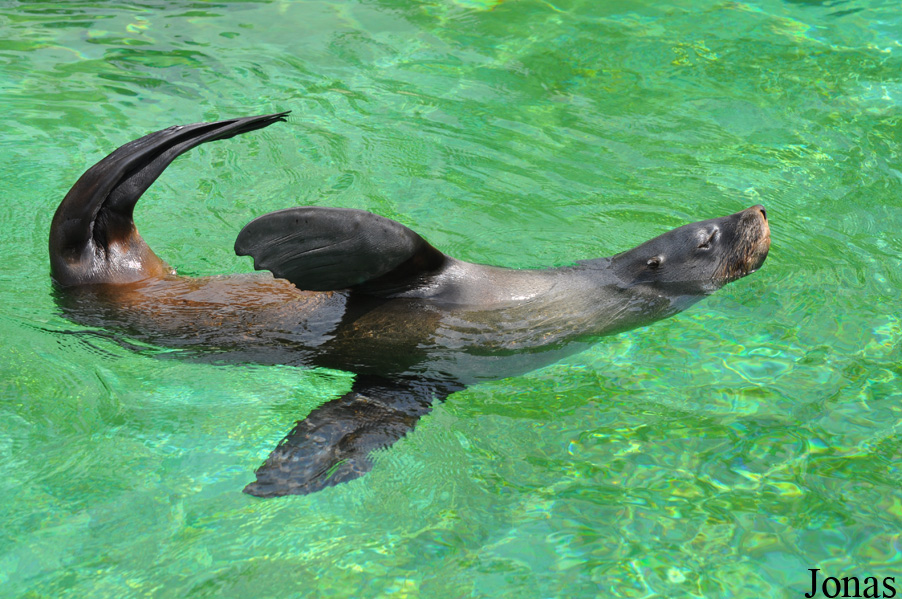 Zoo Wrocław