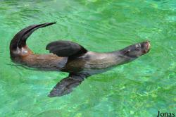 Zoo Wrocław