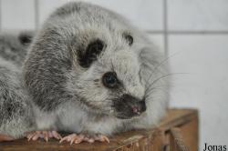 Zoo Wrocław
