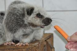 Zoo Wrocław