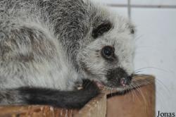 Zoo Wrocław