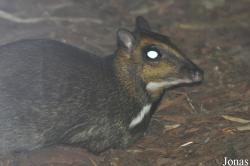 Zoo Wrocław