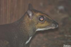 Zoo Wrocław