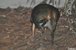 Zoo Wrocław