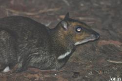 Zoo Wrocław