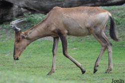 Zoo Wrocław