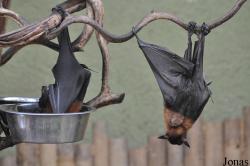 Zoo Wrocław