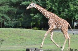 Zoo Wrocław