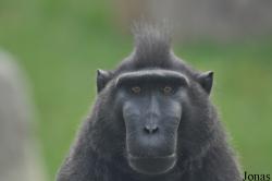 Zoo Wrocław