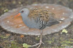 Zoo Wrocław