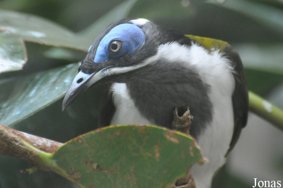 Zoo Wrocław