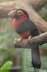 Zoo Wrocław