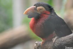 Zoo Wrocław