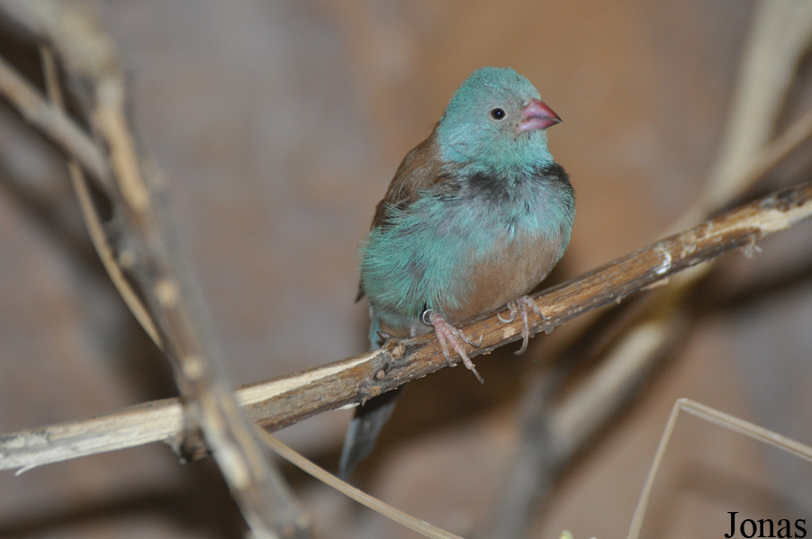 Zoo Wrocław