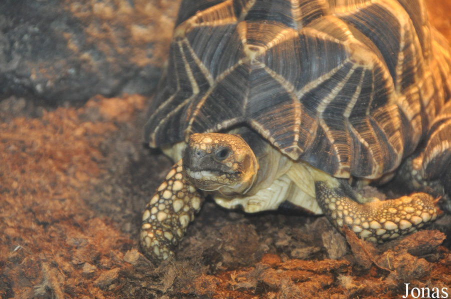Zoo Wrocław