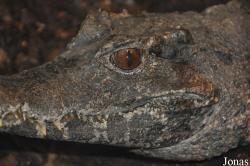 Zoo Wrocław