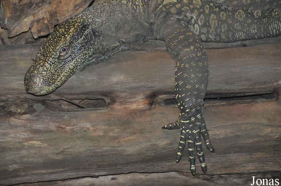 Zoo Wrocław