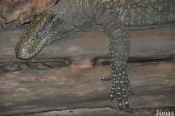 Zoo Wrocław