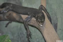 Zoo Wrocław