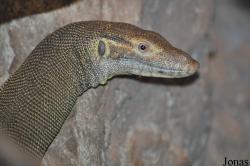 Zoo Wrocław