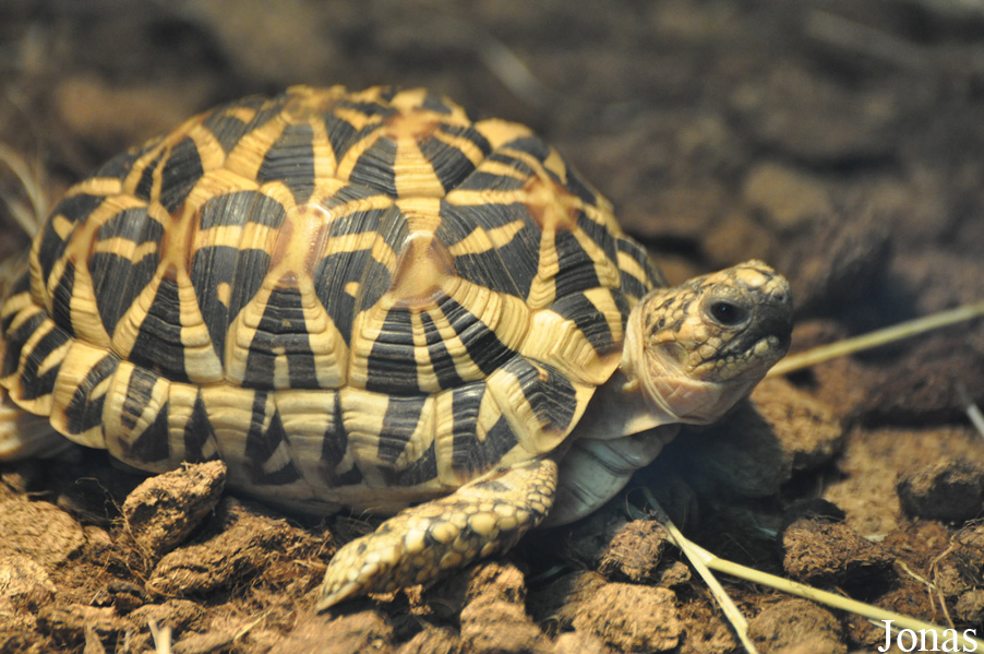Zoo Wrocław