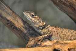 Zoo Wrocław