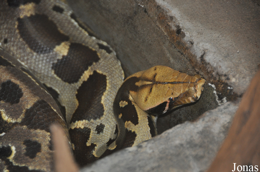 Zoo Wrocław
