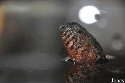 Zoo Wrocław