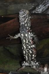 Zoo Wrocław