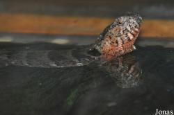 Zoo Wrocław