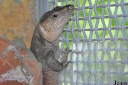 Zoo Wrocław